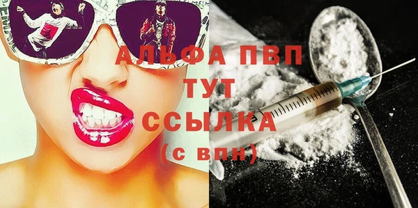 стафф Арсеньев