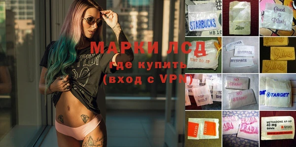 ECSTASY Аркадак